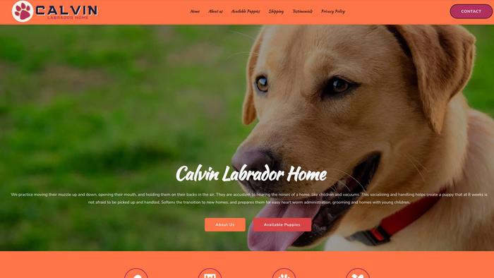 Calvinlabradorhome.com - Labrador Puppy Scam Review