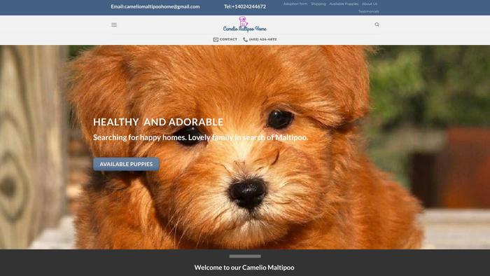 Cameliomaltipoohome.com - Maltipoo Puppy Scam Review