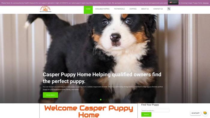 Casperpuppyhome.com - Bernedoodle Puppy Scam Review