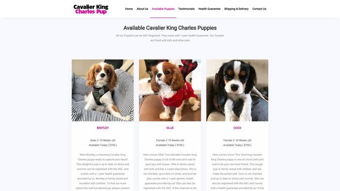 Cavalierkingcharlespup.com - Cavalier King Charles Spaniel Puppy Scam Review