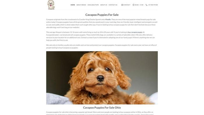 Cavapoobreeders.com - Cavapoo Puppy Scam Review