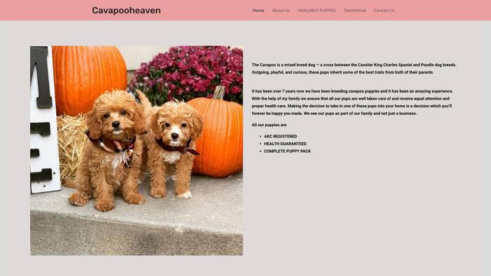 Cavapooheaven.com - Cavapoo Puppy Scam Review