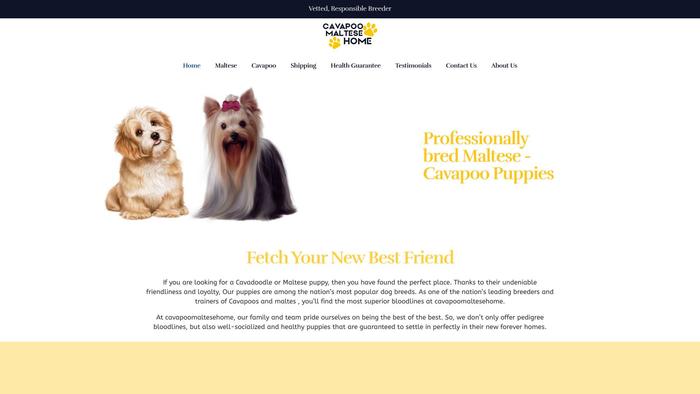 Cavapoomaltesehome.com - Cavapoo Puppy Scam Review