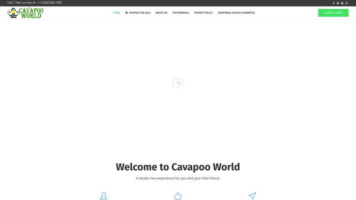 Cavapoosworld.com - Cavapoo Puppy Scam Review