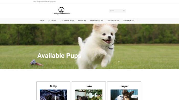 Championchihuahuagroup.com - Chihuahua Puppy Scam Review