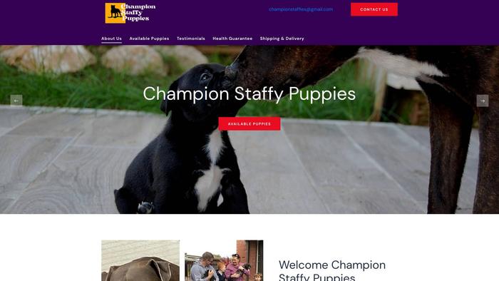 Championstaffypups.com - Pit Bull Puppy Scam Review