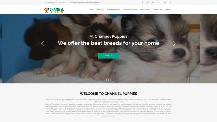 Channelpuppies.com - Labrador Puppy Scam Review