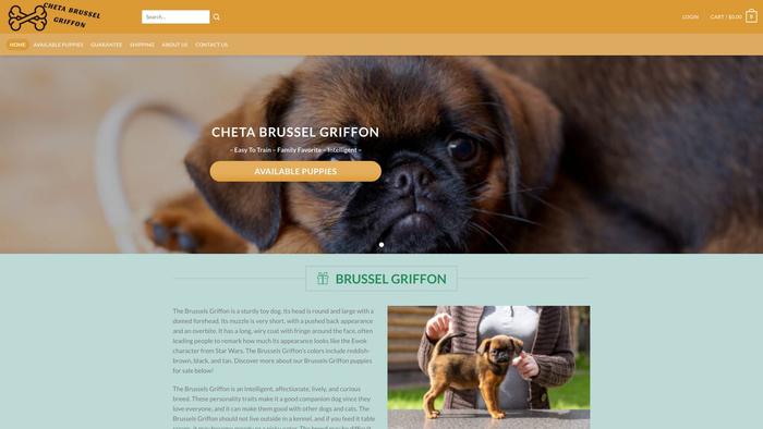 Chetabrusselgriffonpuppies.com - Terrier Puppy Scam Review