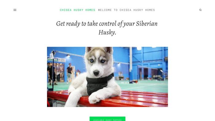 Chiseahuskyhomes.com - Husky Puppy Scam Review