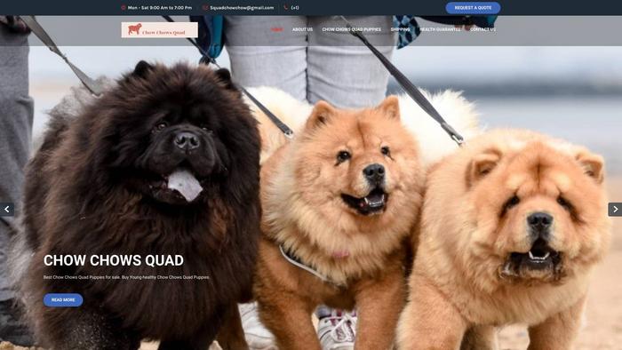 Chowchowsquad.store - Chowchow Puppy Scam Review