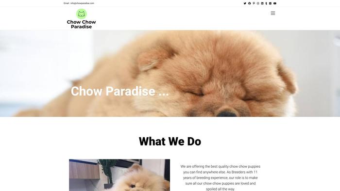 Chowparadise.com - Chowchow Puppy Scam Review