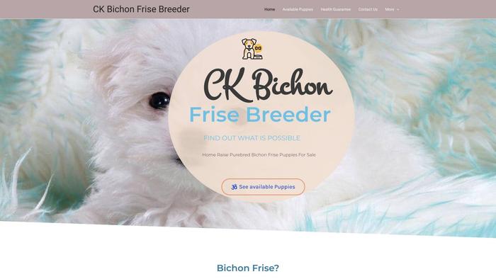 Ckbichonpuppybreeder.com - Bichon Frise Puppy Scam Review