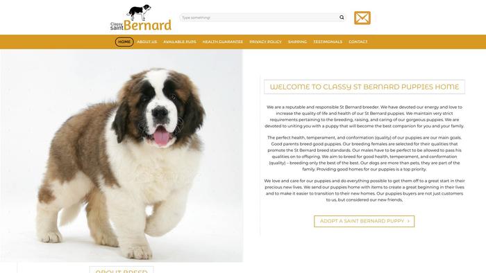 Classsysaintbernard.com - Saint Bernard Puppy Scam Review