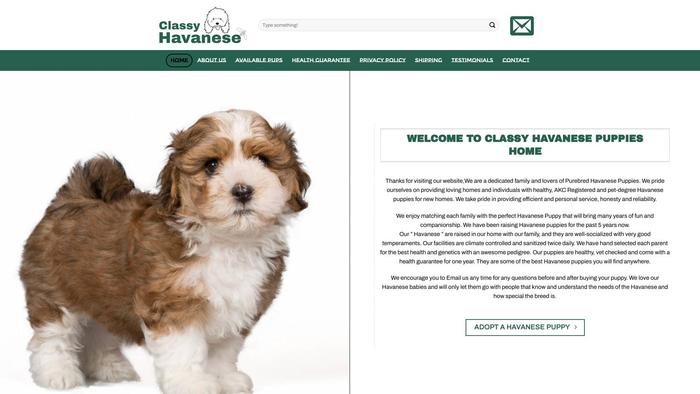 Classyhavanese.com - Havanese Puppy Scam Review