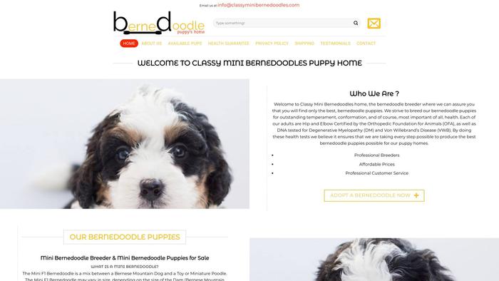 Classyminibernedoodles.com - Bernedoodle Puppy Scam Review