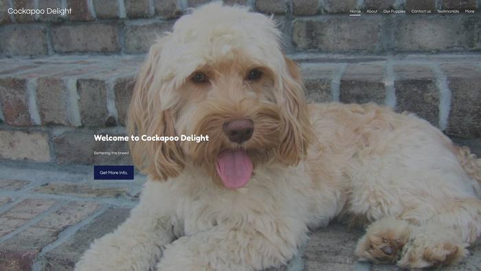 Cockapoodelight.com - Cockapoo Puppy Scam Review