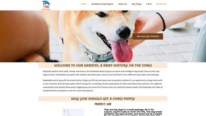 Corgisgarden.com - Corgi Puppy Scam Review