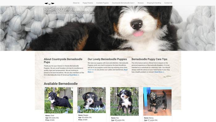 Countrysidebernedoodlepups.com - Bernedoodle Puppy Scam Review