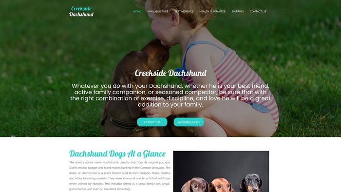 Creeksidedachshund.com - Dachshund Puppy Scam Review