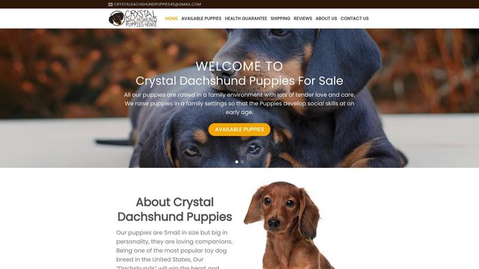 Crystaldachshundpuppies.com - Dachshund Puppy Scam Review