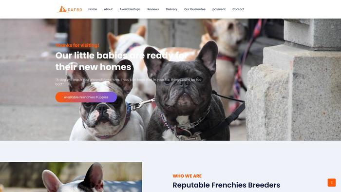 Cuteadorablefrenchbulldogs.com - French Bulldog Puppy Scam Review