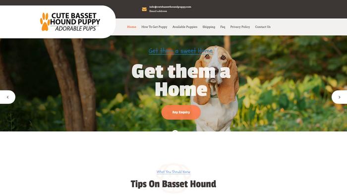 Cutebassethoundpuppy.com - Bassethound Puppy Scam Review