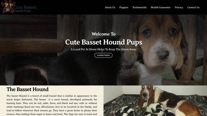 Cutebassethoundpups.com - Bassethound Puppy Scam Review