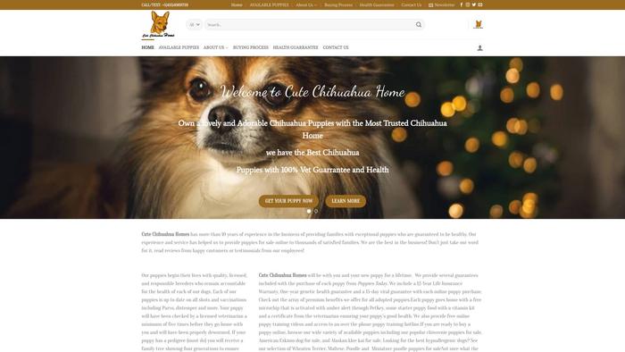 Cutechihuahuahome.com - Chihuahua Puppy Scam Review