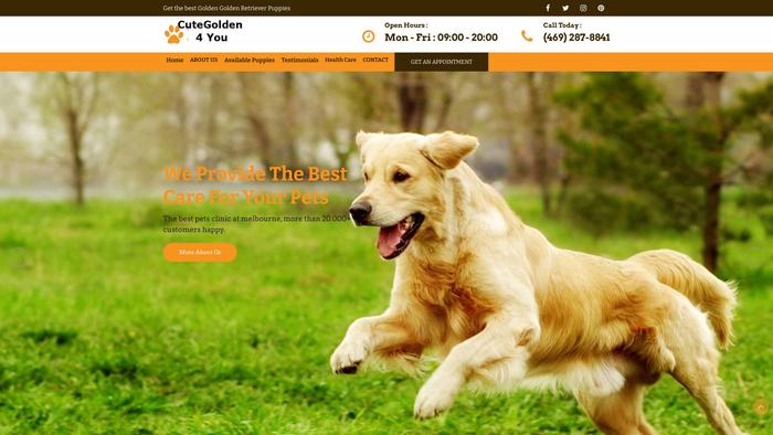 Cutegolden4you.com - Golden Doodle Puppy Scam Review