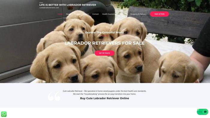 Cutelabradoretriever.com - Golden Retriever Puppy Scam Review