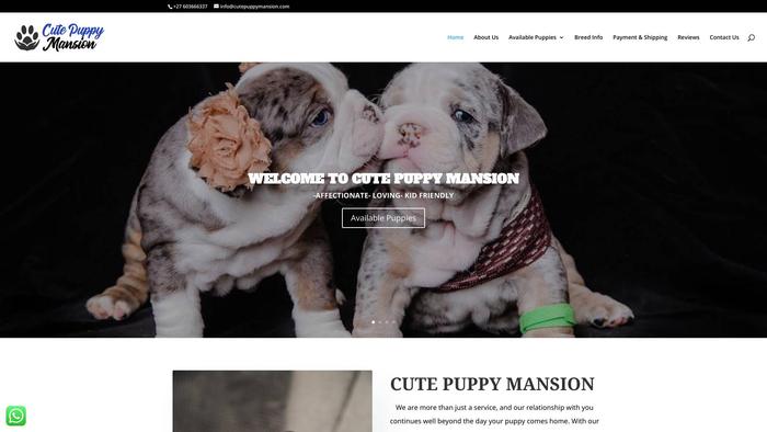 Cutepuppymansion.com - Beagle Puppy Scam Review