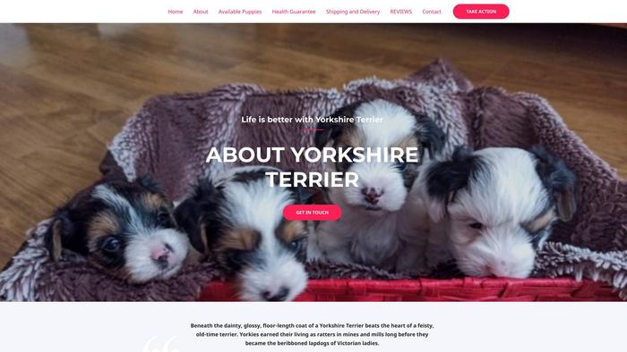 Cuteyorkshirehome.com - Terrier Puppy Scam Review