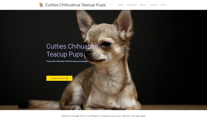 Cuttieschihuahuateacuppups.com - Chihuahua Puppy Scam Review