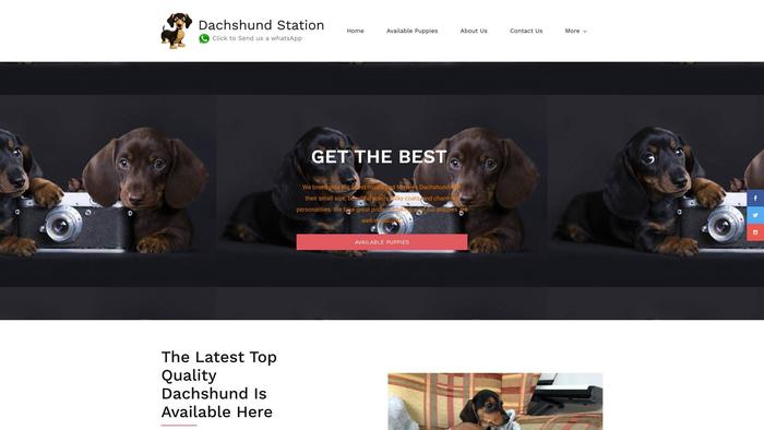 Dachshundsstation.com - Dachshund Puppy Scam Review