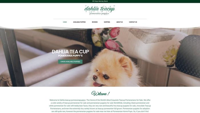 Dahliateacuppomeraniapuppys.com - Pomeranian Puppy Scam Review