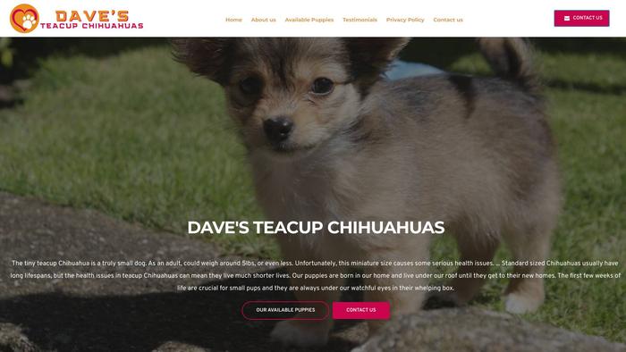 Daveteacupchihuahuas.com - Chihuahua Puppy Scam Review