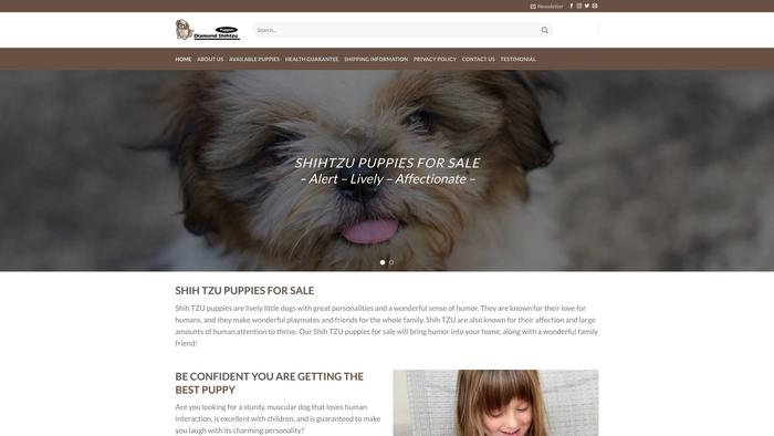 Diamondshihtzupuppies.com - Shihtzu Puppy Scam Review