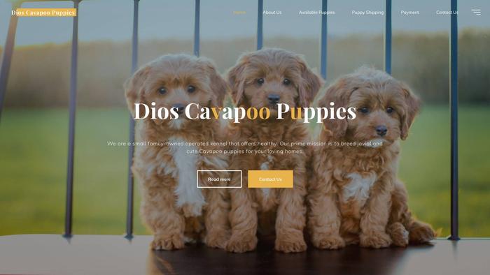 Dioscavapoopuppies.xyz - Cavapoo Puppy Scam Review