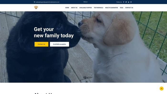 Dogsandpuppiesforsalenearme.com - Labrador Puppy Scam Review