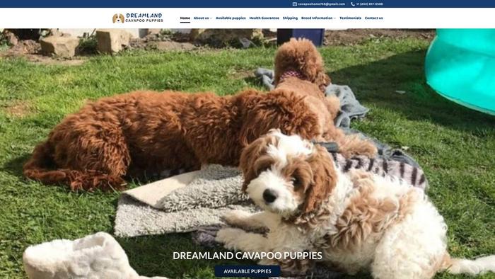 Dreamlandcavapoopuppies.com - Cavapoo Puppy Scam Review