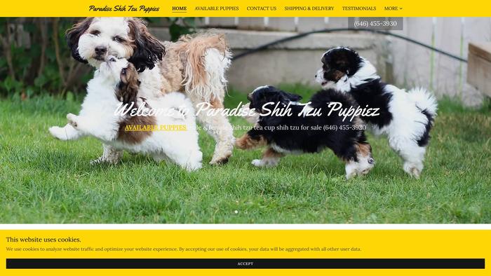 Dreamlandshihtzupuppy.com - Shihtzu Puppy Scam Review