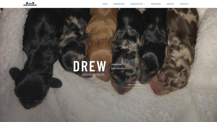 Drewminiaturedachshunds.com - Dachshund Puppy Scam Review