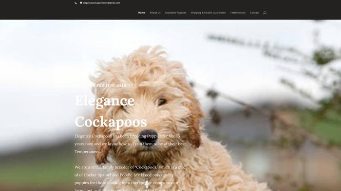 Elegancecockapoohome.com - Cockapoo Puppy Scam Review