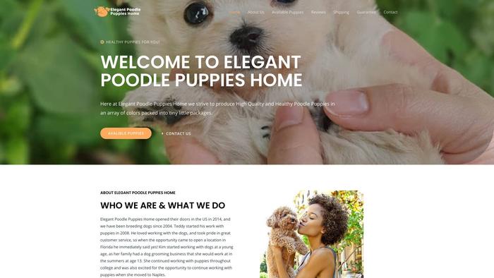 Elegantpoodlepuppies.com - Poodle Puppy Scam Review