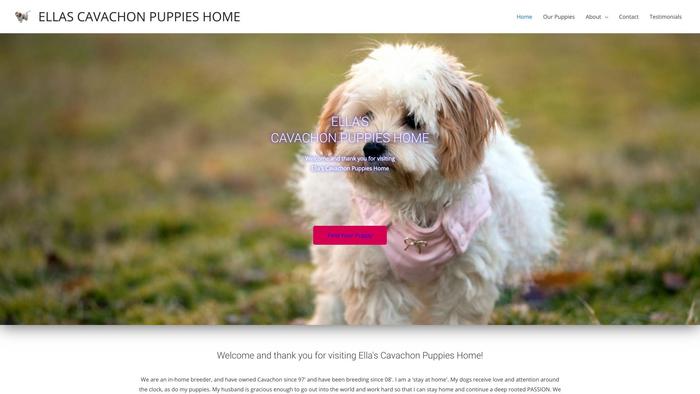 Ellascavachonpuppieshome.com - Cavachon Puppy Scam Review