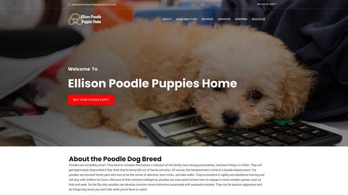 Ellisonpoodlepuppieshome.com - Poodle Puppy Scam Review