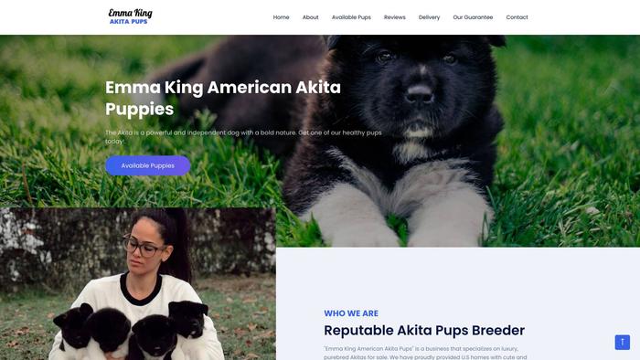 Emmakingamericanakitapups.com - Akita Puppy Scam Review