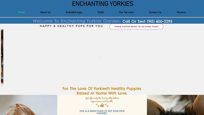 Enchantingyorkiepuppies.com - Yorkshire Terrier Puppy Scam Review