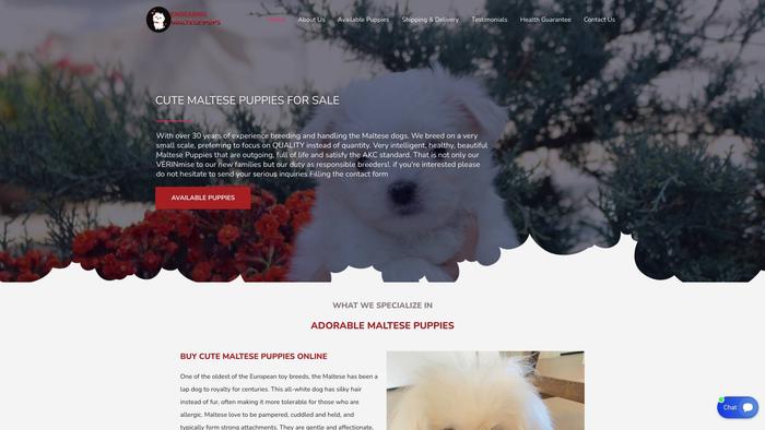 Endearingmaltesepups.com - Maltese Puppy Scam Review