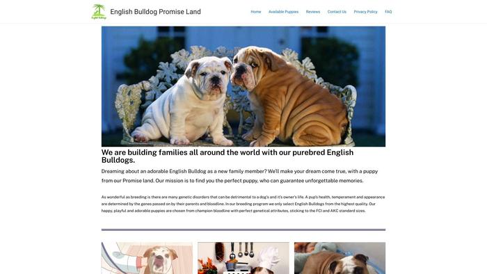 Englishbulldogpromiseland.com - English Bulldog Puppy Scam Review